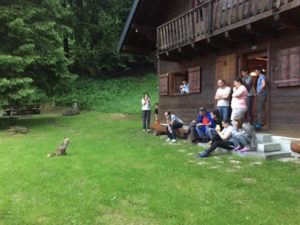 img_5199
