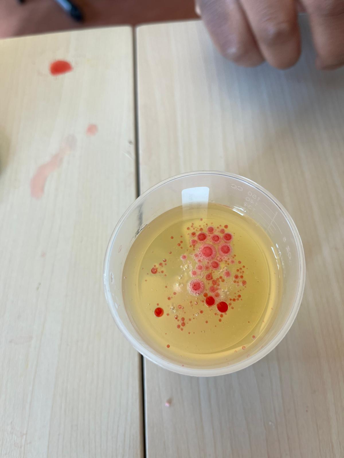 École de Rovéréaz