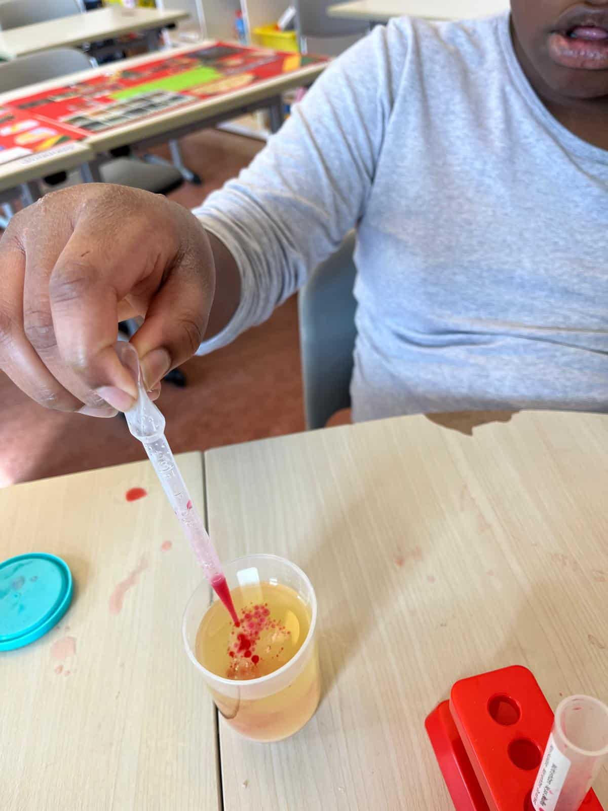 École de Rovéréaz