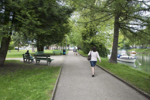 Désormais, les personnes se promenant au parc des Cygnes pourront identifier cinq essences d'arbres sans se tromper. 