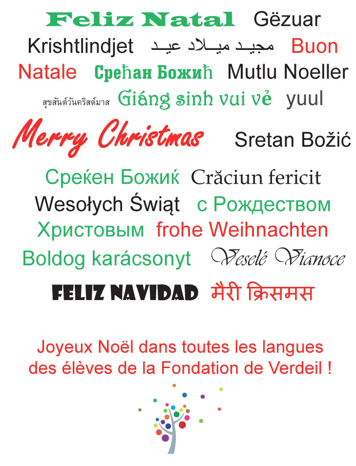 Les Eleves De La Fondation Vous Adressent Joyeux Noel Dans Toutes Le Ur S Langues Fondation De Verdeil Prestataire De Pedagogie Specialisee